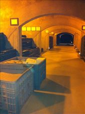 by jesjesco, Views[182]