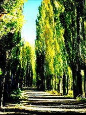 by jesjesco, Views[130]