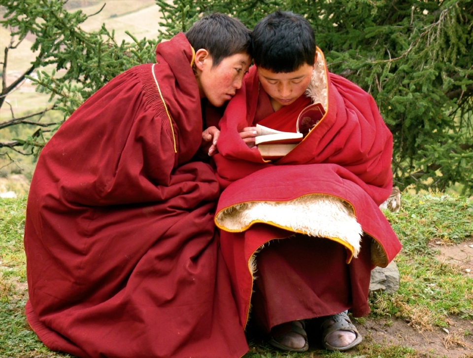 Two nuns huddle together to study a Buddhist text. In Tibet and elsewhere, nuns are not typically afforded the same educational opportunities - including basic schooling - as their monk counterparts. Instead, they must study doubly hard on their own or with other nuns to learn the same material.