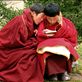 Two nuns huddle together to study a Buddhist text. In Tibet and elsewhere, nuns are not typically afforded the same educational opportunities - including basic schooling - as their monk counterparts. Instead, they must study doubly hard on their own or with other nuns to learn the same material.: by jessbenjamin, Views[823]