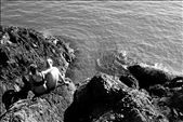 Two dear friends.: by jessethompson, Views[354]