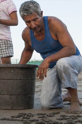 A ex poacher now employed by the Rancho Esperanza resort helps turtles from the nest to the ocean. 

While many efforts are made to help and protect the young turtles this local expert believes its important to let them 