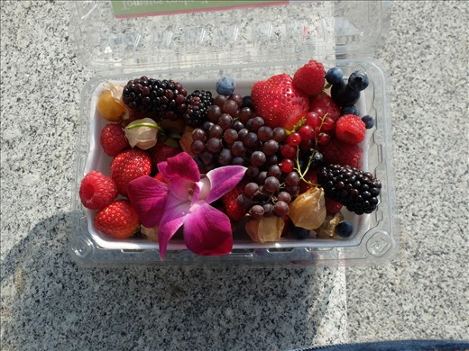 Delightful Berries from the Jean Talon Market