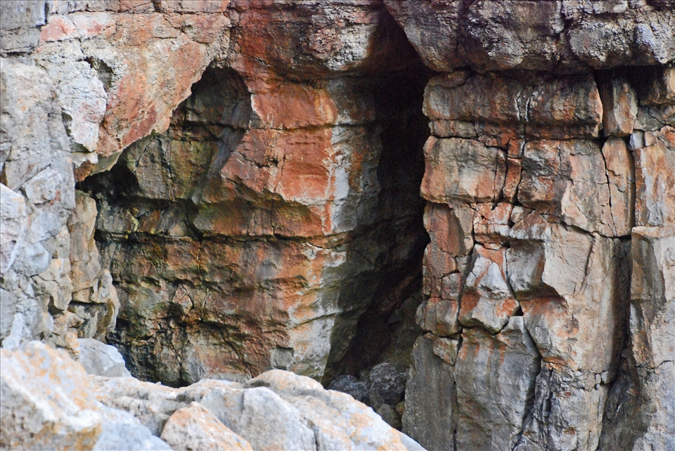 The detail in this image I really was happy with and the colours I simply love 