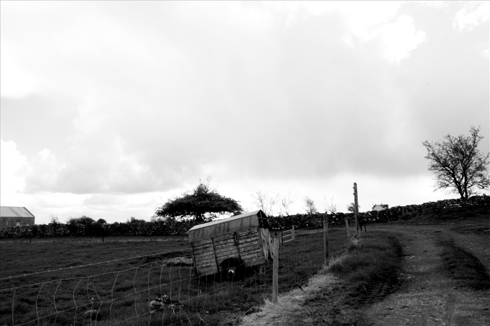 May be old but always in my heart