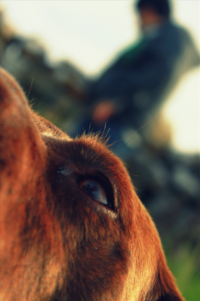 beauty is in the eye of the beholder.