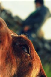 beauty is in the eye of the beholder.: by jessicagrimesphotography, Views[256]