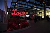 The Brisbane Ekka or Royal Queensland Show has been running for over 137 years. The Ekka now sees over 400 000 visitors a year during the 10 day event.: by jessicalea, Views[295]