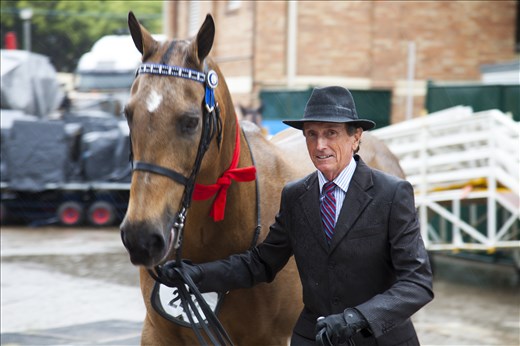Where the Country meets the City - A man returns from competing in a Dressage event in the pouring rain. 