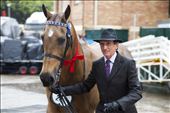 Where the Country meets the City - A man returns from competing in a Dressage event in the pouring rain. : by jessicalea, Views[271]