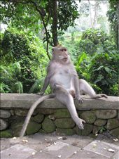 Dad ran over bearing his teeth at me and relaxed once I moved away.: by jessie-lee, Views[273]