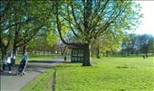 Brockwell Common - the sun does shine in London: by jessiejames, Views[166]