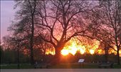 Sunset from Clapham Common: by jessiejames, Views[224]