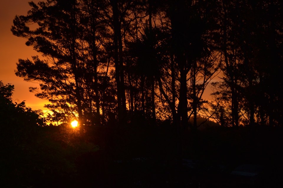 Escape into the Darkness to find a unknown world.