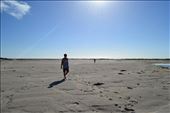 Walk me through the dserted beach of Karmaea, South Island of New Zealand. : by jesskamessika, Views[283]