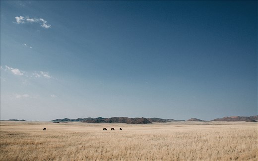 The Open Road, Off The Grid