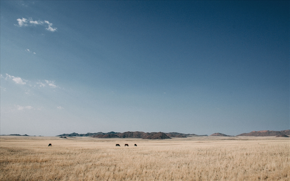 The Open Road, Off The Grid