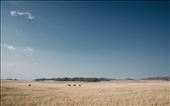 The Open Road, Off The Grid: by jesssarawright, Views[222]