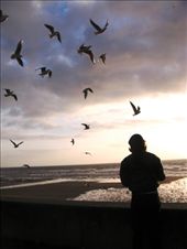 Inspired. This is a picture of my brother. I always think of how he must be feeling when I see the picture. I imagine him feeling free and inspired as he watches the birds fly over him. : by jetha, Views[181]