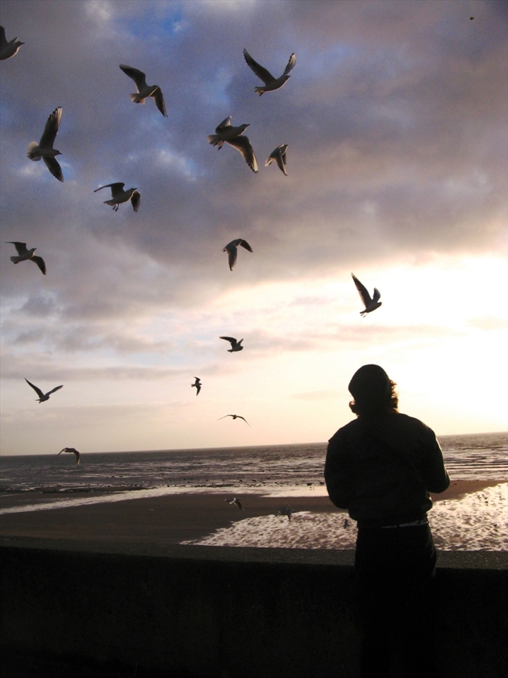Inspired.  This photo is of my brother. It was his facebook profile picture for a while, with the caption 'birds flying high - you know how I feel'. That line always comes to mind when I see the picture now. It describes how he is feeling in this photo - free and inspired. 