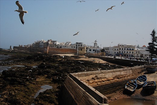 Gull's Eye view of the harbor at Essaouira
