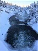 Winter Creek: by jette_for_wildernessinternational, Views[303]