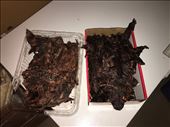 Dry meat: by jette_for_wildernessinternational, Views[176]