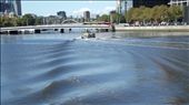 yarra river: by jewraider, Views[304]