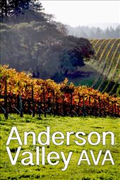 Anderson Valley Wine Country in California: by jgreghenry, Views[1461]
