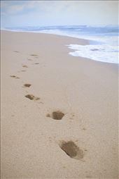 by jgreghenry, Views[222]