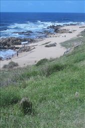 by jgreghenry, Views[221]