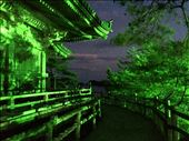 Godaido has a 'jade' aura, a jewel in Tohoku for many Buddhists since 1604. The temple reflects a Momoyama architectural style by Date Masamune, (one eyed dragon),  the first Lord of Sendai.  On the curved wooden supports of the four walls, carvings of the 12 signs of the Chinese zodiac are arranged facing their corresponding direction. This structure symbolizes a tower of strength and a place of zen for many persons who lost loved ones, their livelihood and their sense of hope after the Great East Japan Earthquake and tsunami in 2011.   : by jhazle, Views[581]