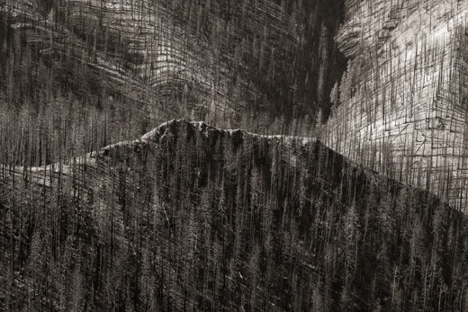 Some of the worst burned areas of the Gila Wilderness.  2012