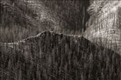 Some of the worst burned areas of the Gila Wilderness.  2012: by jhemp_00, Views[420]