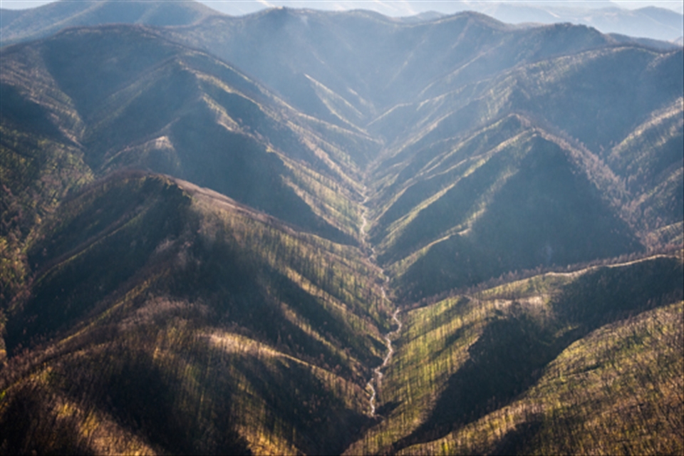 Shot of fire damage from plane flight. 2012