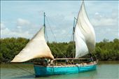 3.	A local trade dhow catches the wind, traversing a river towards the Mozambique Channel.: by jillmsachs, Views[477]