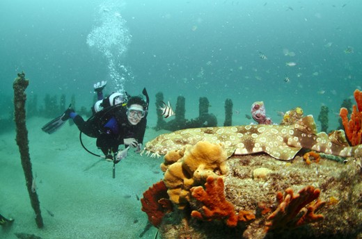 A diver getting wrecked with a friend on the SS Oakland.