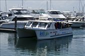 Dive boat about to berth in the marina at Nelson Bay: by jim_dodd, Views[181]