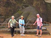 Lion's paw Sigiriya: by jimandmary, Views[194]