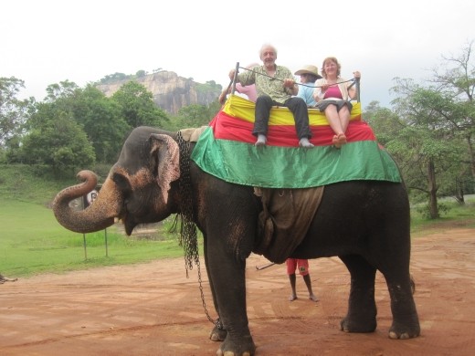 Elephant ride in Sigiriya 