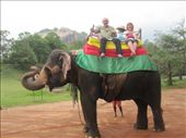 Elephant ride in Sigiriya : by jimandmary, Views[243]