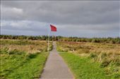 Culloden Moor - the English battle lines of the 1746 battle between the redcoats and the Jacobites: by jimboandjanet, Views[492]