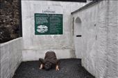Islay - Jim's finally made it here....the pilgrimage to whisky distillery Laphroaig, right next to the peat bogs and the kelps and waters of the Irish Sea.: by jimboandjanet, Views[464]