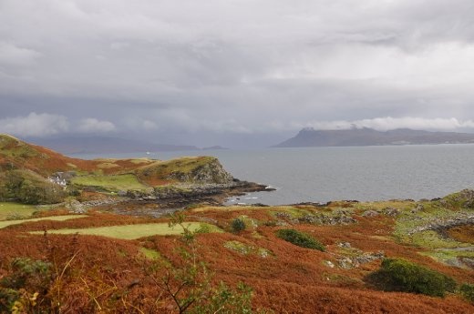 Skye - Autumn bracken