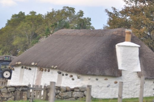 Skye - rocks to keep the roof under control