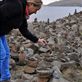 Skye - rock sculptures on the west coast: by jimboandjanet, Views[384]