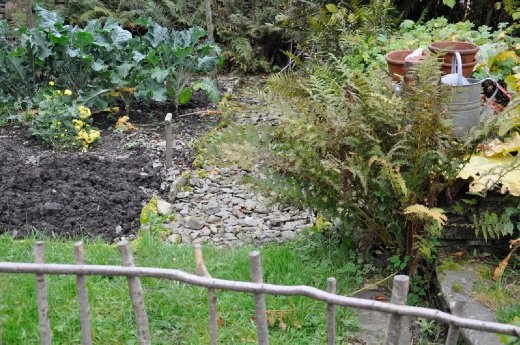 Peter Rabbit hiding in a flower pot!