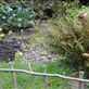 Peter Rabbit hiding in a flower pot!: by jimboandjanet, Views[543]