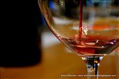 The DaVinci Cooperative is leading the way in grape adaptation to climate change: by jimodonnell, Views[283]