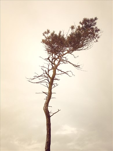 Death - Cold and Lonely.